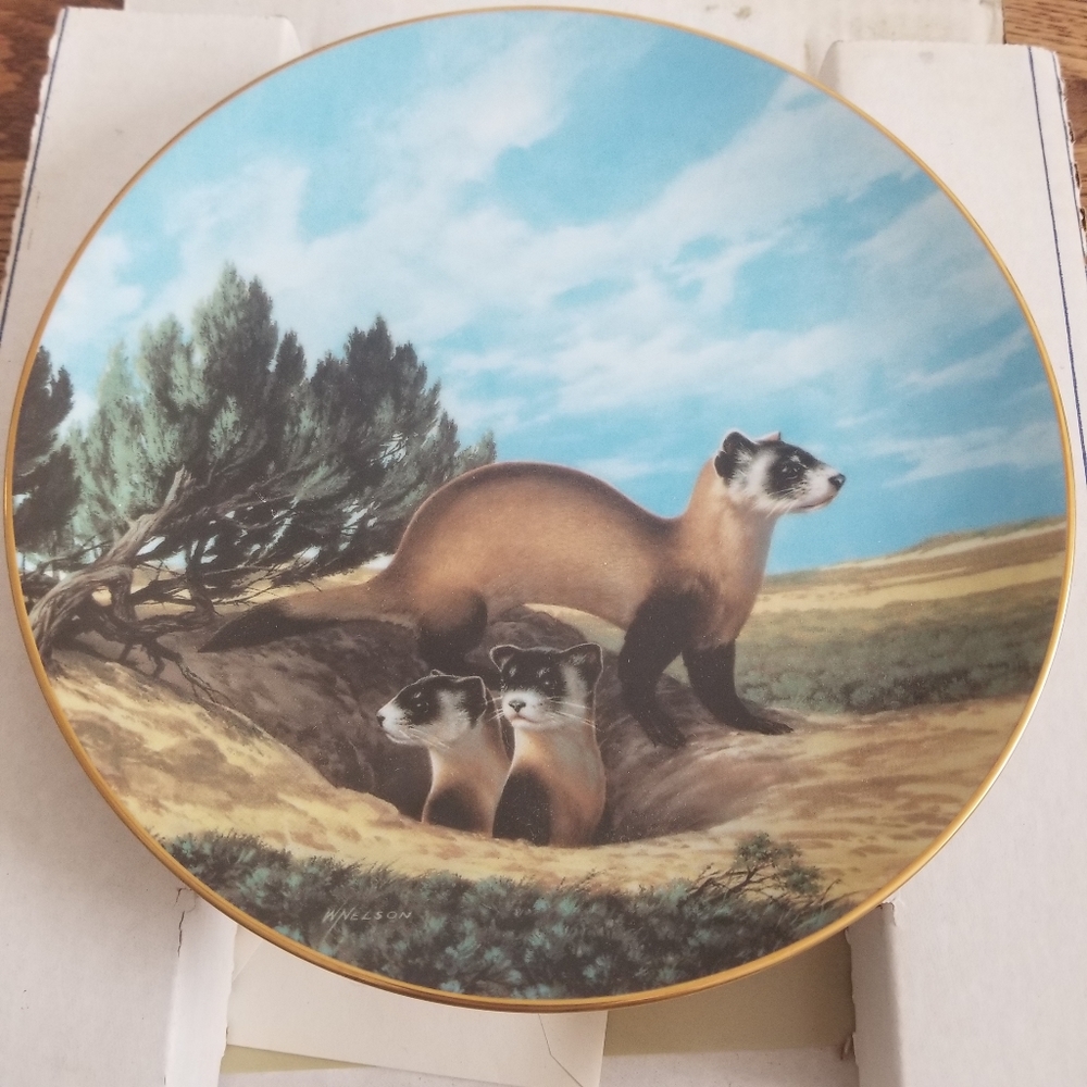 W.S George "The Black-Footed Ferret" Collector Classic Art Nature Gift Beautiful - Picture 6 of 6
